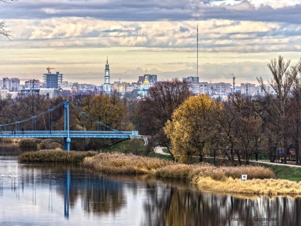 Тамбов река Цна Донское