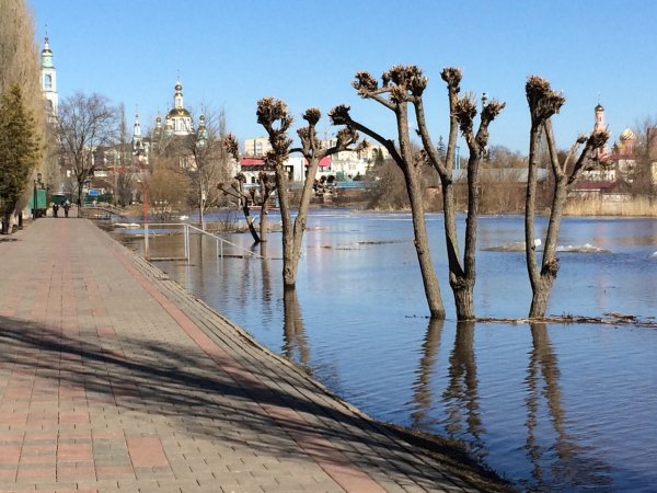 Разлив набережная Тамбов