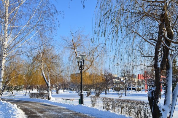 Тамбов зима набережная Цны