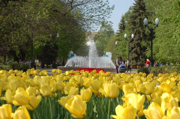 Весна в Тамбове