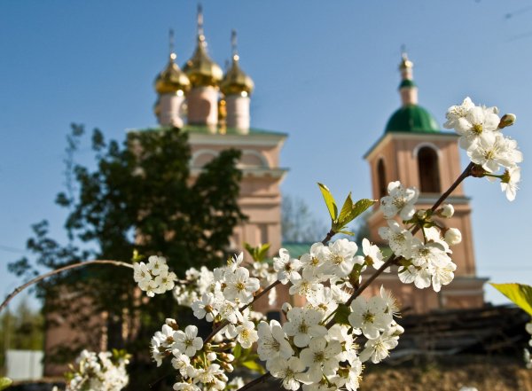 Малоярославец природа