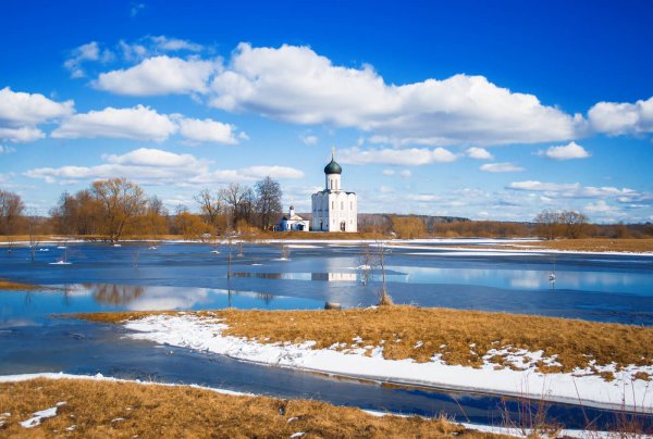 Храм Покрова на Нерли весной