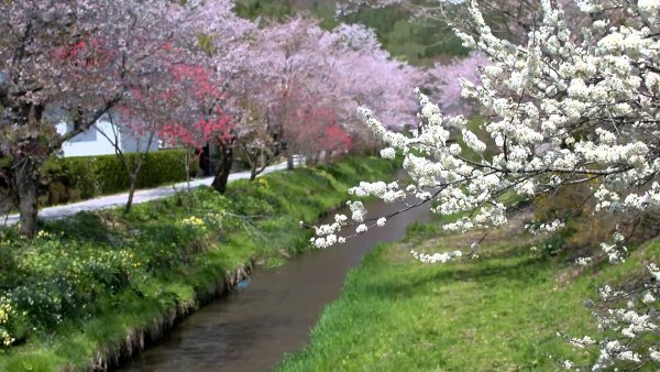 Весенняя пора