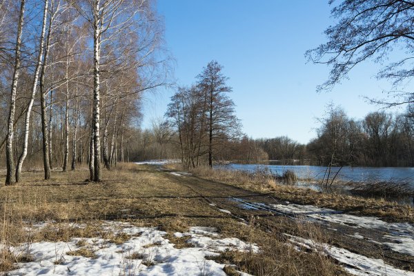 Природа весной