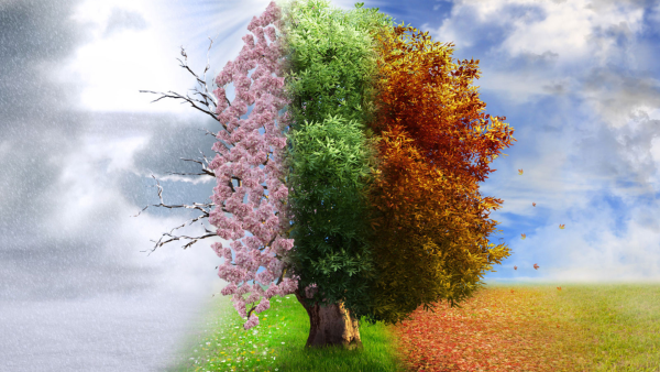 Карточки с изображением времени года