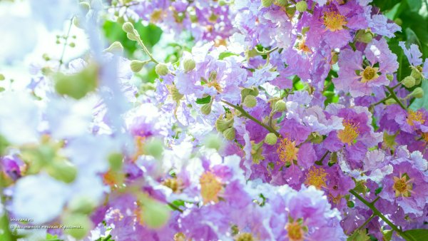 Картинки на рабочий стол Весна природа