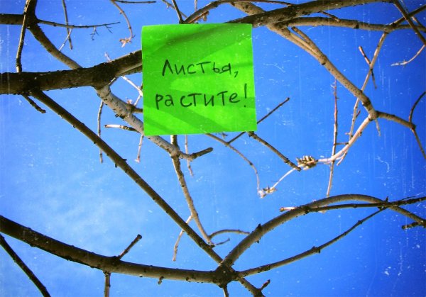 Весна уже скоро