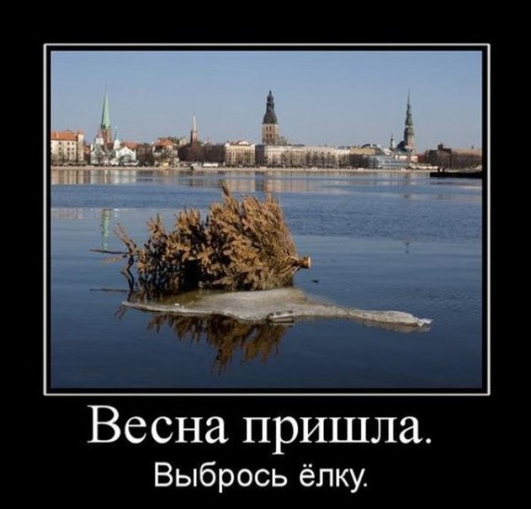 Весенний юмор