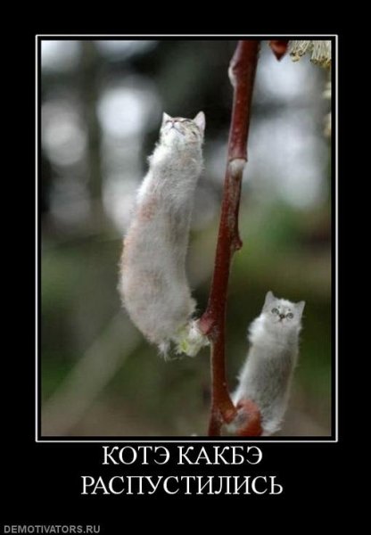 Где Весна картинки смешные