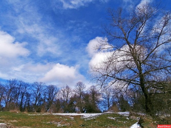 Весна побеждает зиму