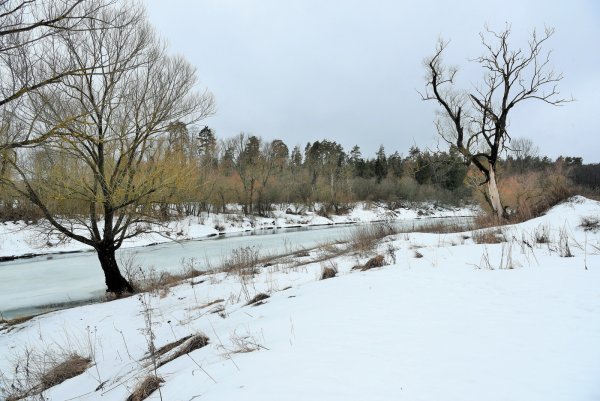 Зима в окно стучится