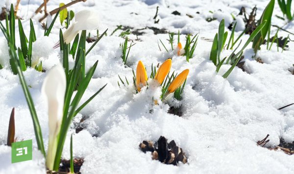 Фото весны март