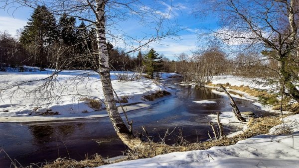 Федот Ветронос