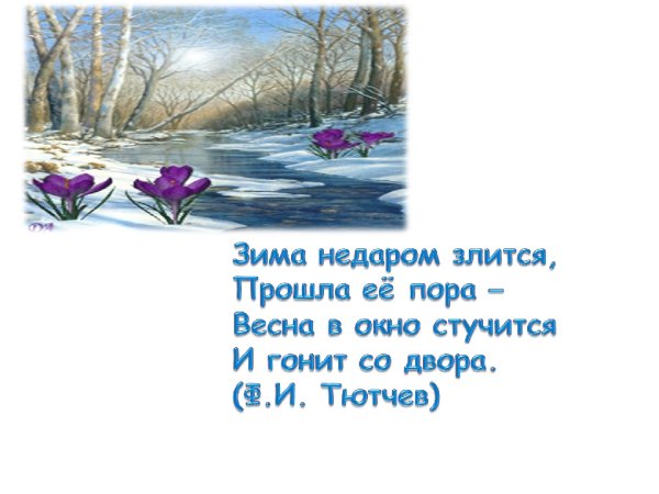 Зима недаром злится