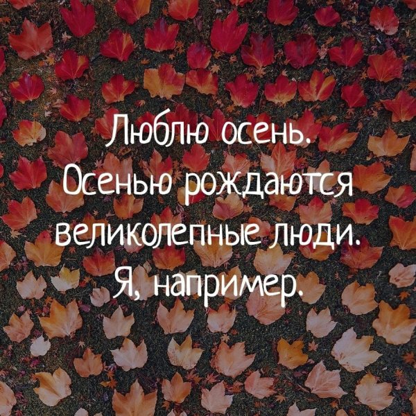 Люблю осень осенью рождаются великолепные люди я например