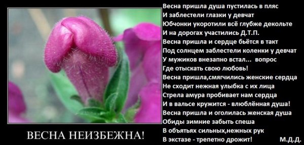Думали Весна херушки