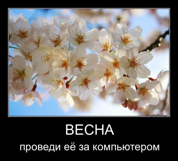 Под снегом дышит Весна