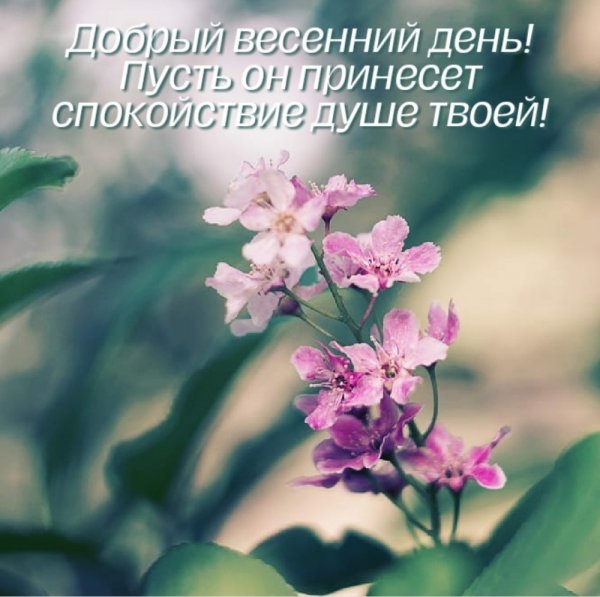 Смешное про весну