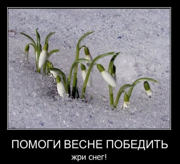 До весны осталось