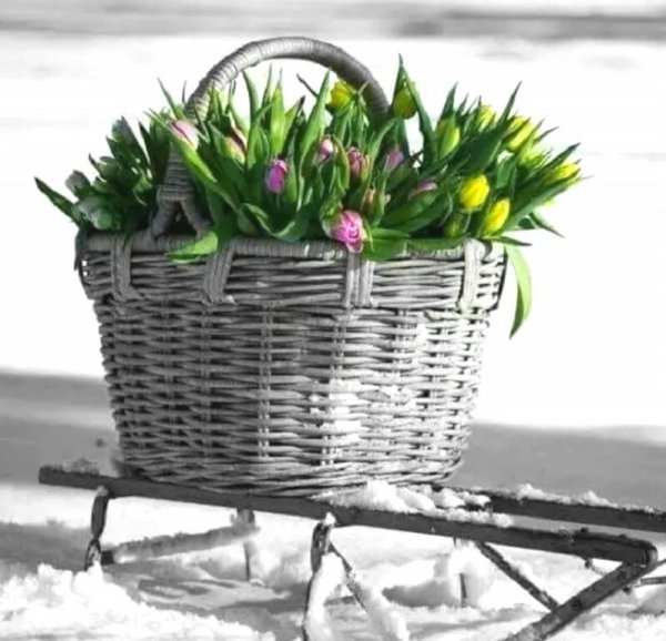 Шутки про весну