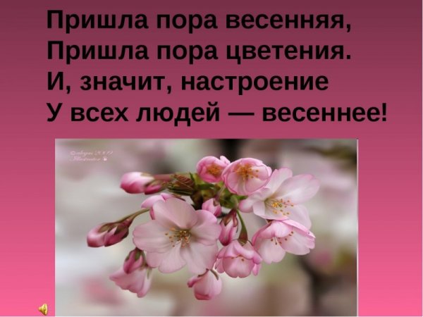 Стихи про весну короткие