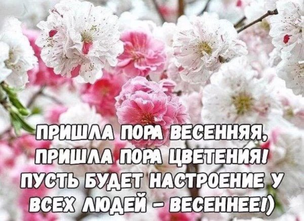Весенние мотиваторы
