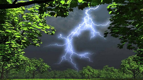 Гроза в мае
