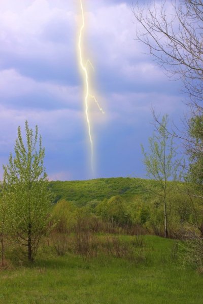 Весенние грезы