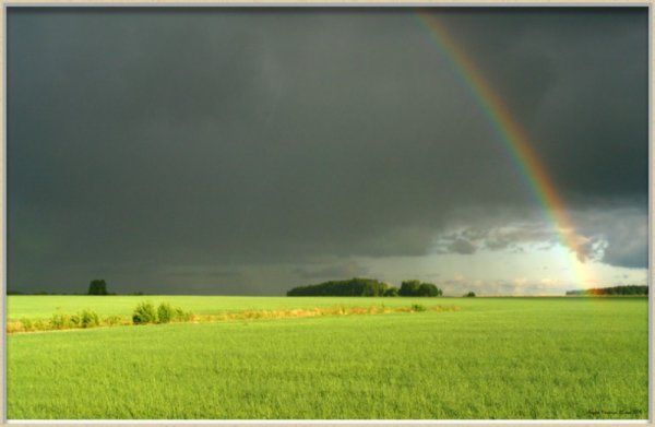 Весенняя гроза