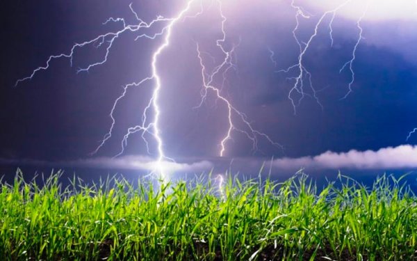 Весенняя гроза