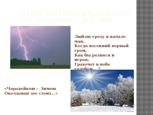 Природа после дождя