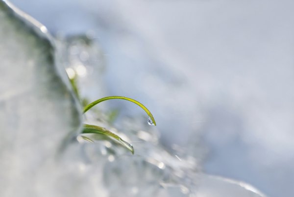 Весна шепнет тебе