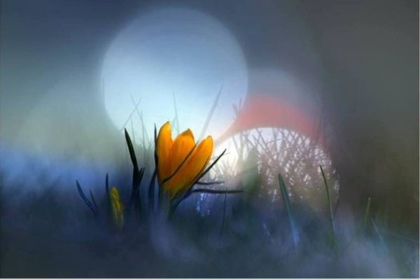 Весна шепнет тебе живи и ты