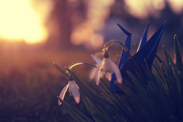 Вечна и женщина похожи