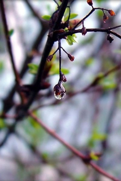 Весна на улице и в душе