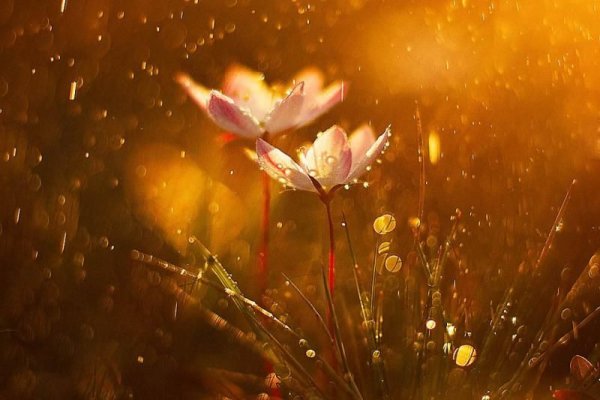 Ирина Орлова Тюмень