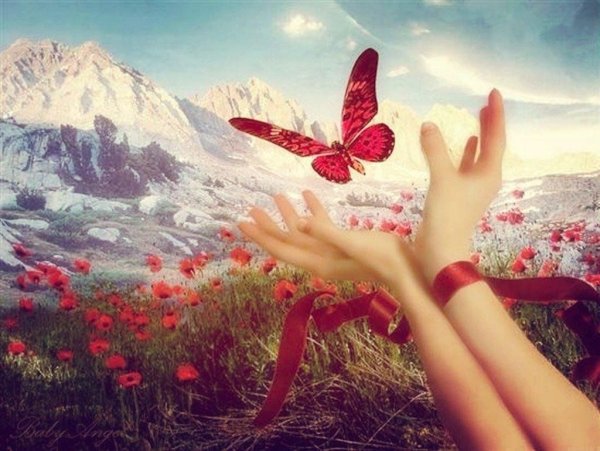 Весеннего майского утра