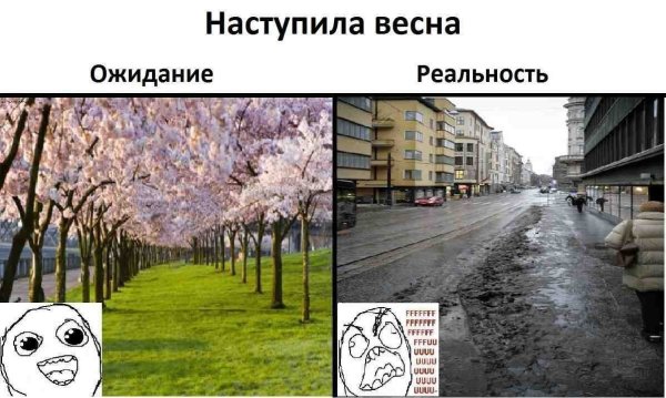 Весна ожидание реальность