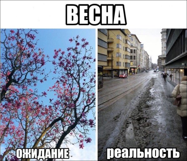Весна ожидание реальность