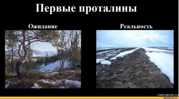 Вена ожидание реальность