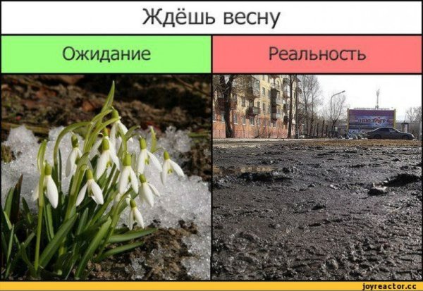 Весна ожидание реальность