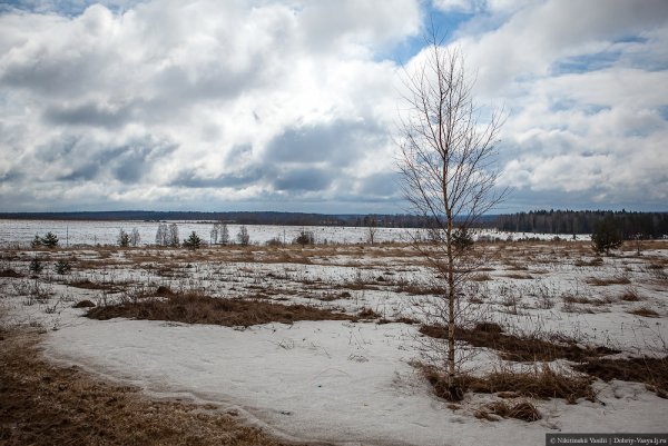 Улицы России