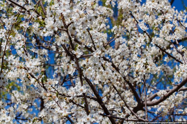 Слякоть в Москве