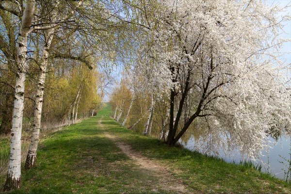 Первый день весны прикол