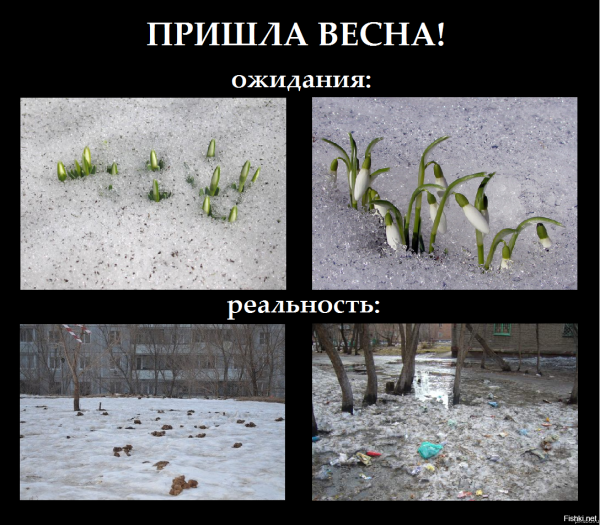 Весна пейзаж