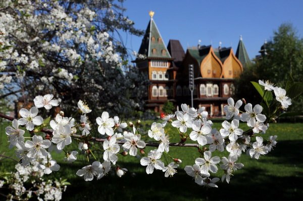 Зима вместо весны