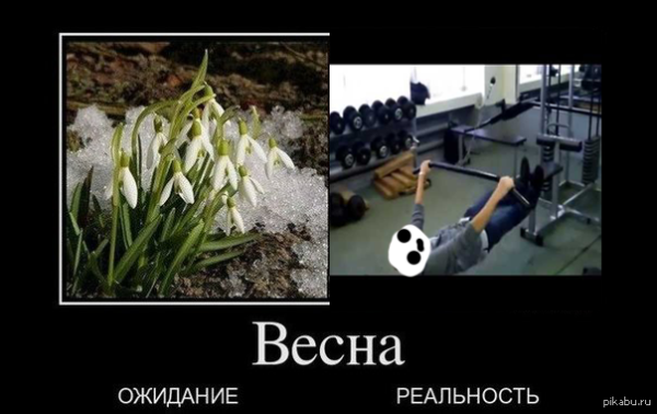 Весна реальность