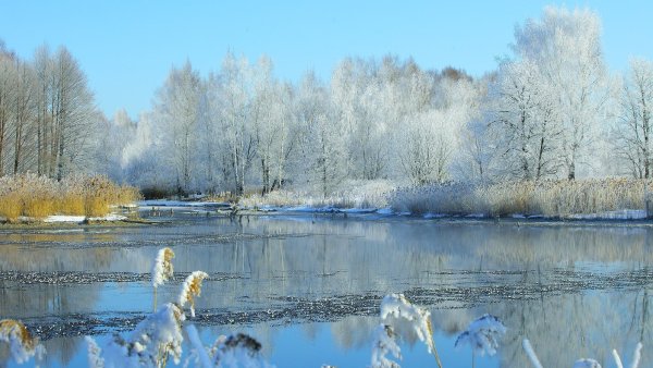 Весеннее половодье