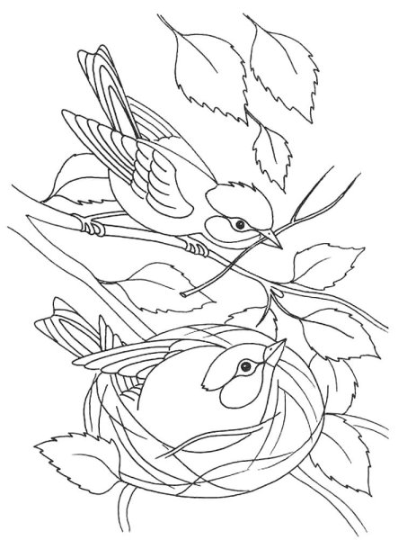 Весенние раскраски для детей