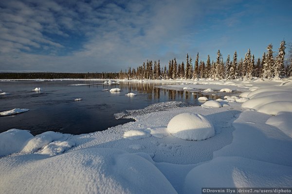 Тундра Кольского полуострова